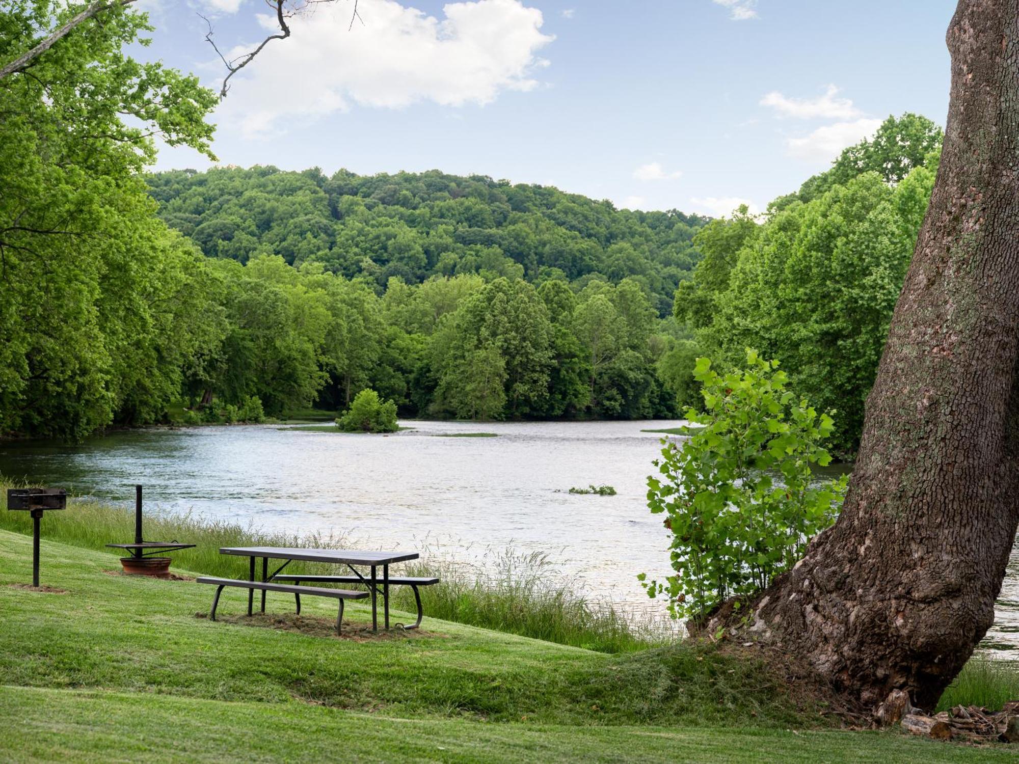 Shenandoah Dog Friendly Cabin With River Access, Hot Tub, Fire Pit, Bbq, Outdoor Dining Eksteriør bilde